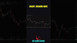 🚨 ORDI Live Alert! #shorts #crypto