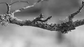 Negatives from yesterday's demonstration