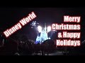 A Holiday Greeting from The Adventures of Peas and Carrots - Disney World Montage!