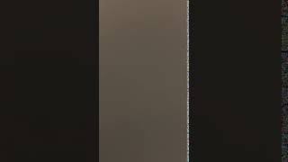 IMG 0635