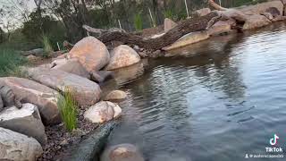 Meditation and Reflection 