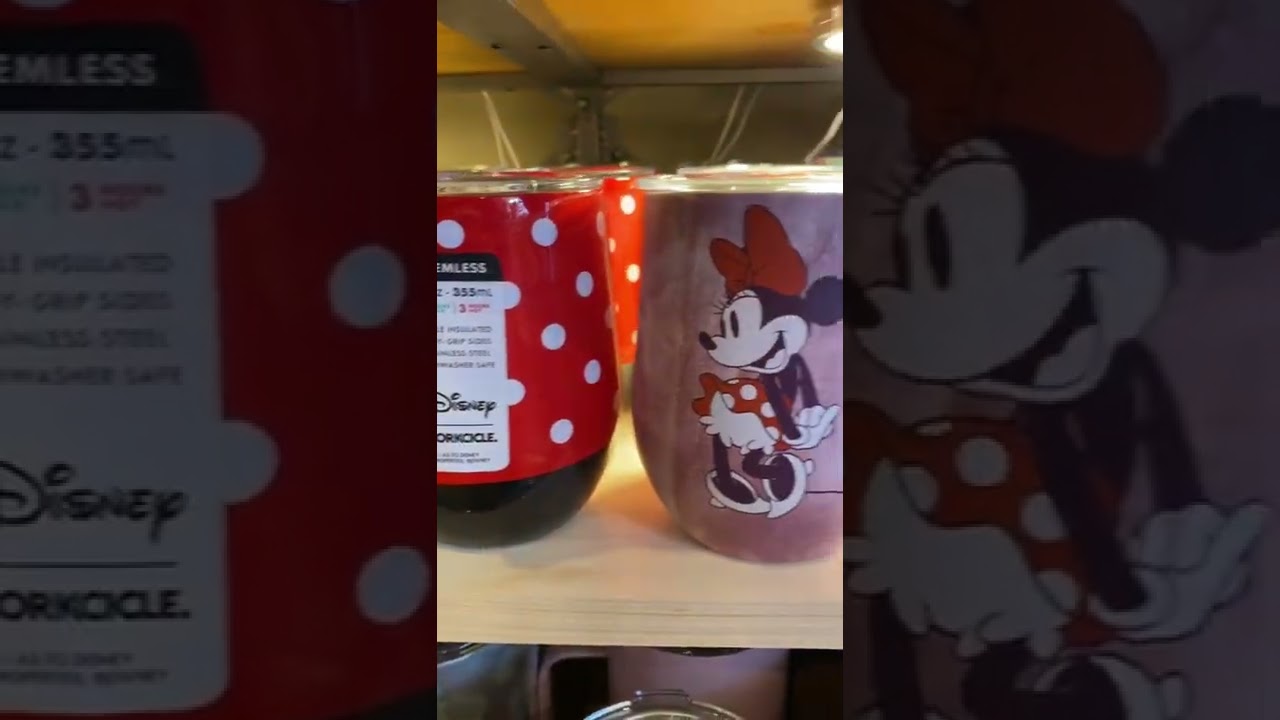 ADORABLE Disney Themed Corkcicle Wine Tumblers 😮