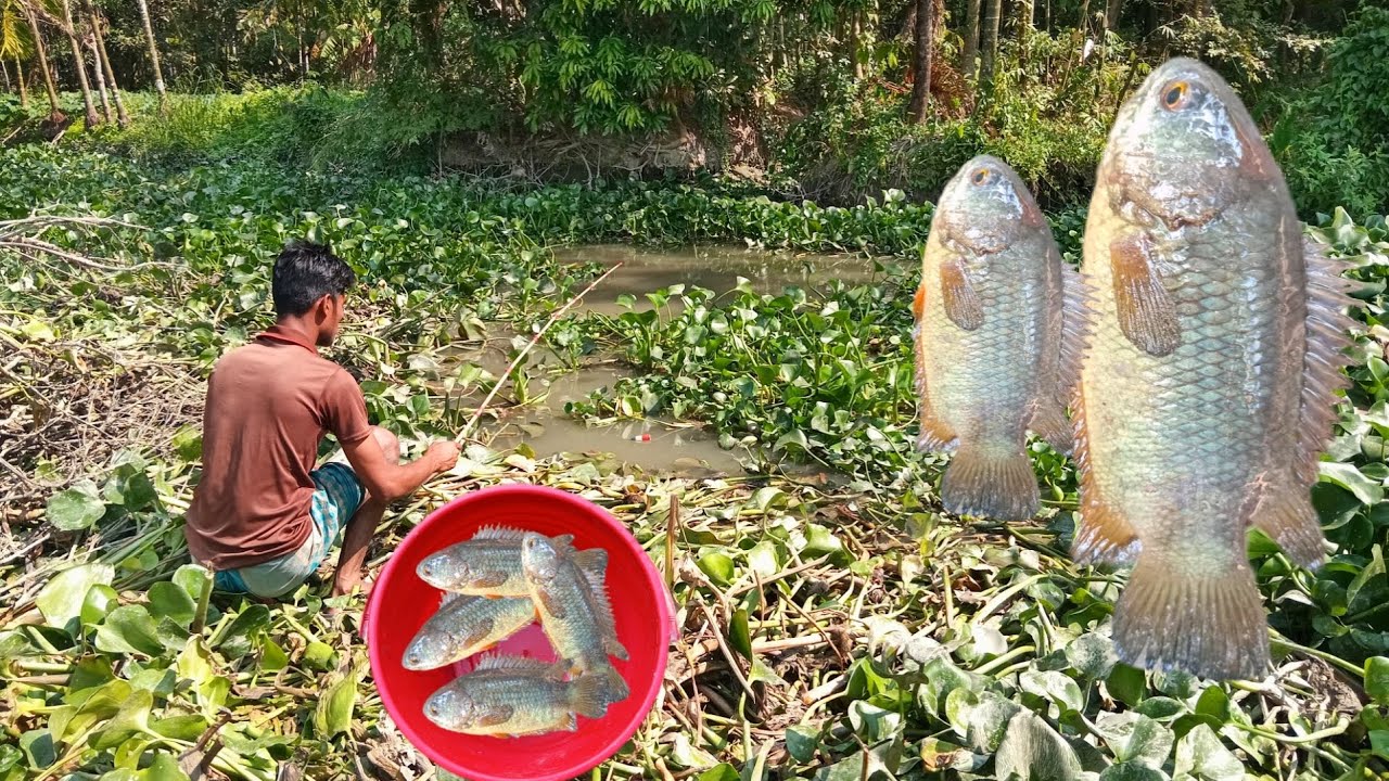 SA Fishing TV | Unique fishing techniques | Fishing videos ...