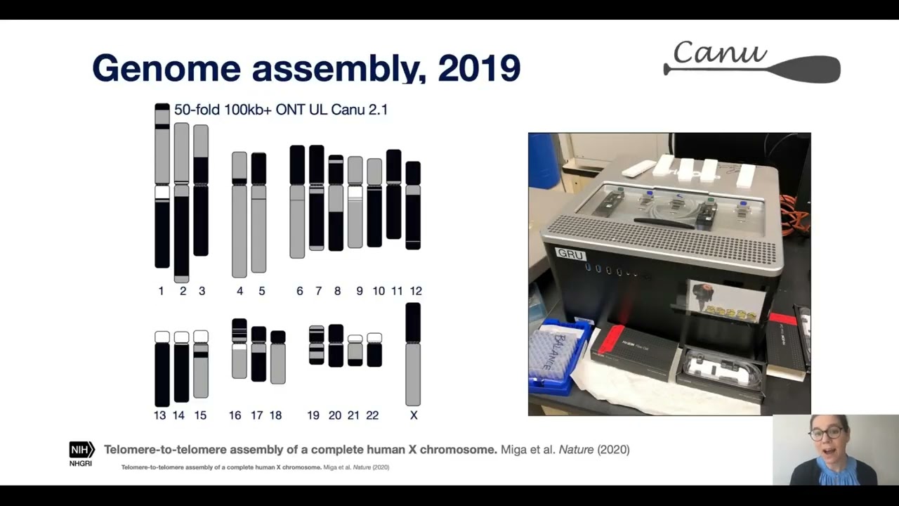 Telomere to Telomere Chromosome Assemblies  New Insights Into Genome Biology and Structure