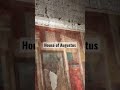 House of Augustus frescoes