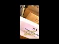 Avalon Nano 3S Bitcoin Solo Miner HK To NL April 30th