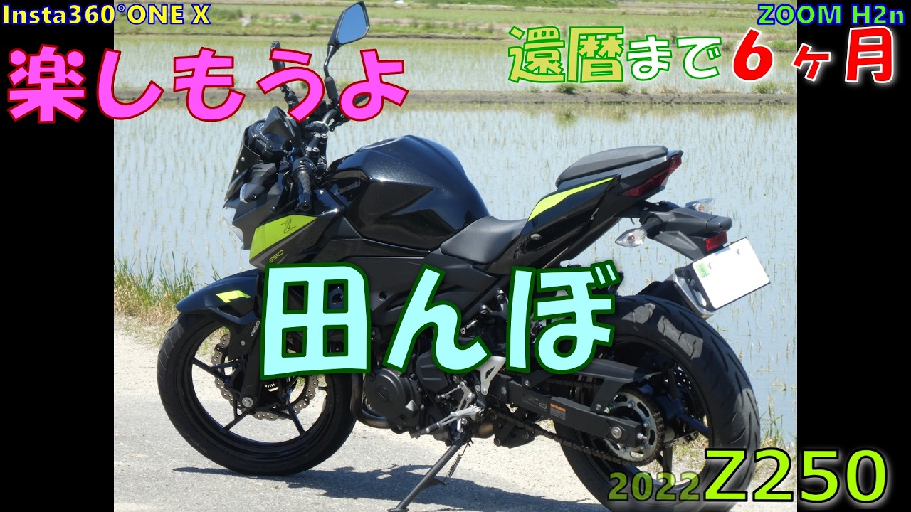 Z250】KAWASAKI Z250 Insta360°ONE X#448 田んぼ - YouTube