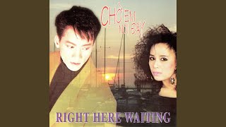 Je Ne T'Aime Plus (Anh Không Yêu Em Nữa)