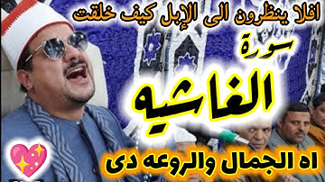 مقطع اسطورى😱روووووووعه💖ممدوح عامر😱ابدااااااااااع👌سورة الغاشيه👌افلا ينظرون إلى الابل كيف خلقت