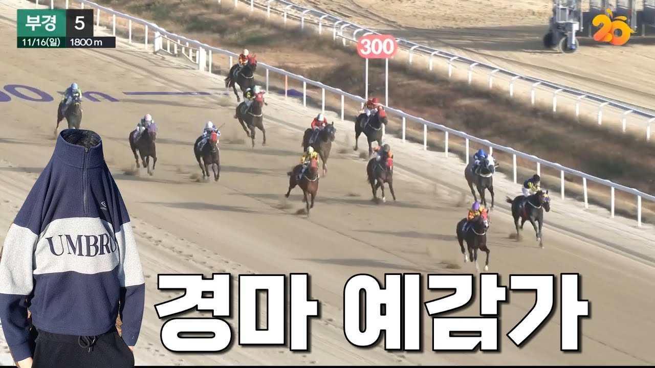 경마 예감가 등장!