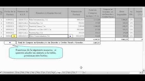 Video Demo Plantilla Excel con Base de Datos.avi