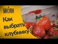 Как правильно выбирать клубнику?