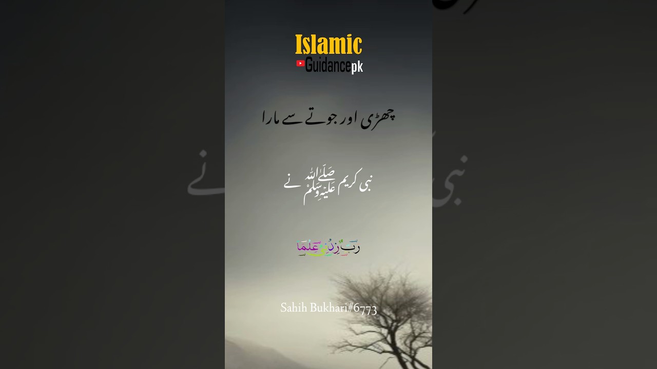 sharab ki saza in islam | sharab peene wala | sharabi | bukhari hadees Urdu | Islamic video 