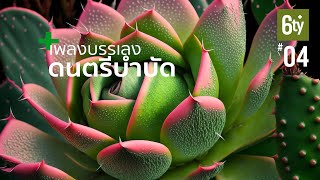 เพลงทำสมาธิ สำหรับการผ่อนคลาย  - Relaxing Music for Elderly 4