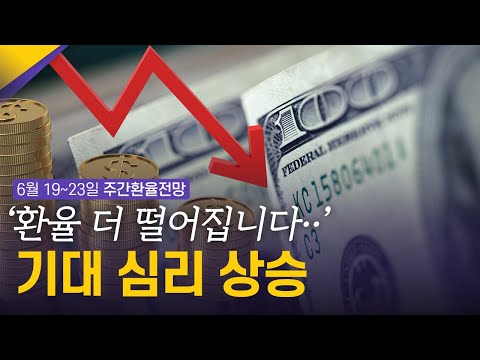   환율 하락 이어질까 6월 1주차 환율전망 환율똑톡