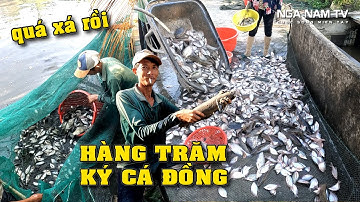Tát Đìa Bắt Cá Miền Tây Ăn Tết Nhà Bác Hai Núi Kết Quả Khủng Khiếp P.1/Fishing/NGÃ NĂM TV