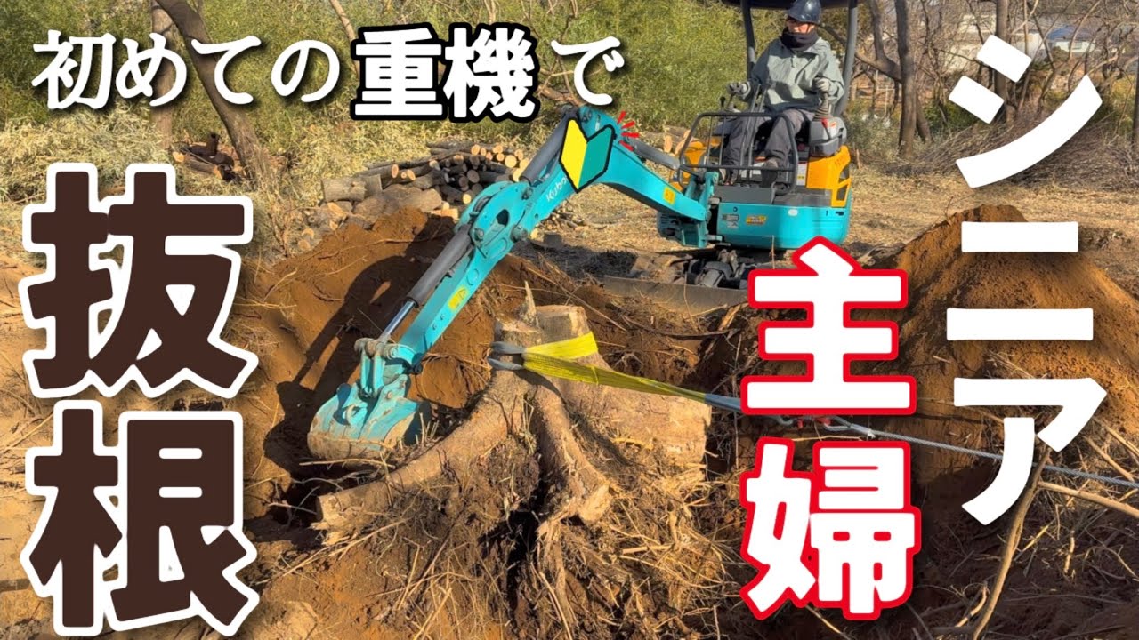 #5 還暦主婦が挑む560坪の抜根！ 結果は…/八ヶ岳南麓いつもより早い春の足音