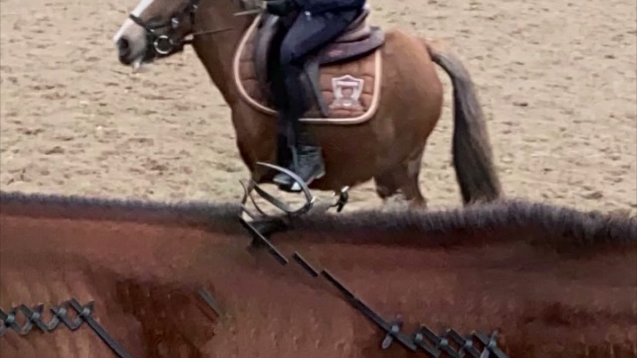 Andy Prod. Dansken - JAG (INDIBENINGING)