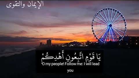 تلاوة خاشعة بصوت الشيخ ياسر الدوسري/سورة غافر🌿🌸