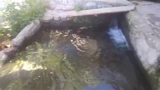 Malatya Karasu Canlı Alabalık Lokantası