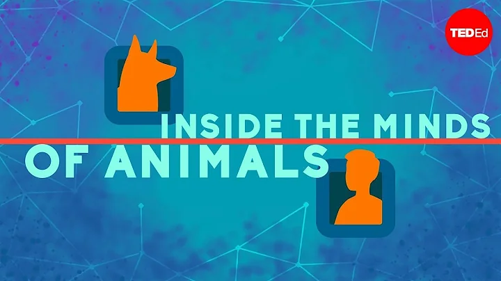 Inside the minds of animals - Bryan B Rasmussen - DayDayNews