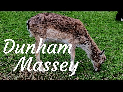 Dunham Massey Tour | May 2022