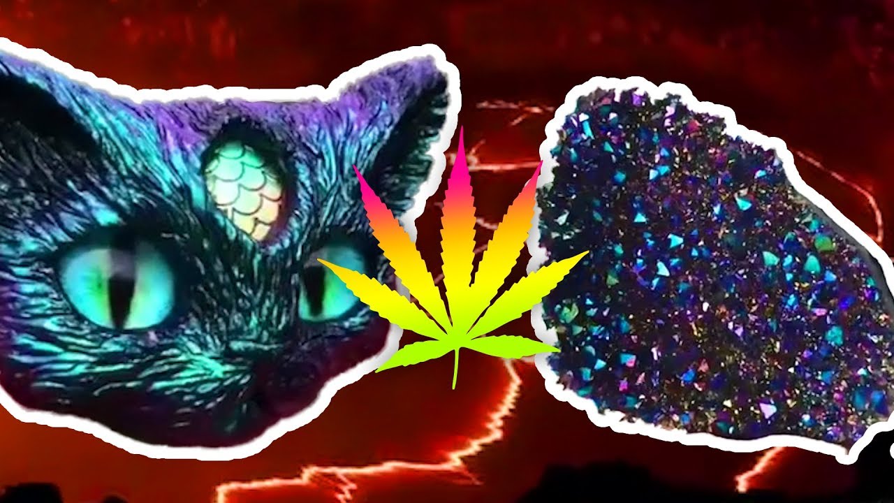 WATCH WHILE HIGH! TRIPPY VIDEO COMPILATION #11 ★ StonerVids