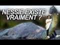 Nessie existe vraiment  vrai ou faux 57