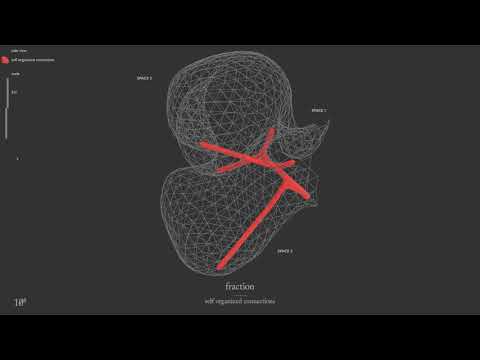 ROOGOTFL : Fraction - Self Organized Connections