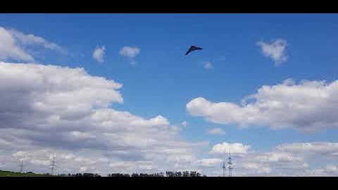 HQ WHIZZ (1:11 Fade 😅)