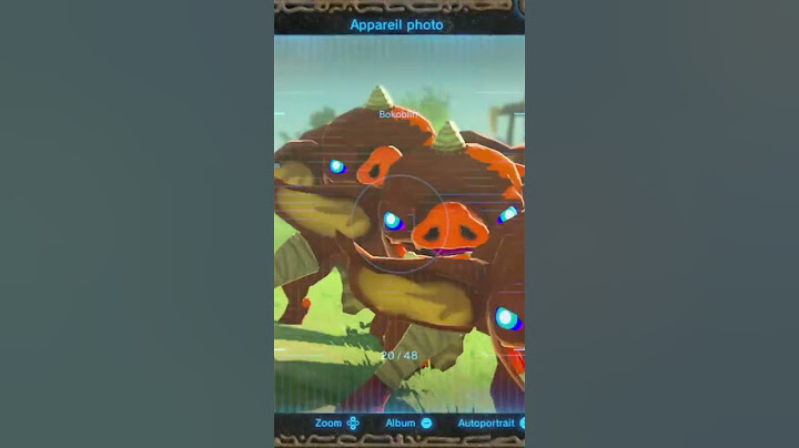 Ce BOKOBLIN est VRAIMENT UNIQUE sur Zelda Breath of the Wild 😮