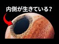 木星が太陽系を支配している理由