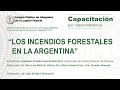 Videoconferencia: &quot;Los incendios forestales en la Argentina&quot;