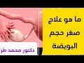 ما هو علاج صغر حجم البويضة دكتور محمد طرابيه ما هو علاج صغر حجم البويضة دكتور محمد طرابيه