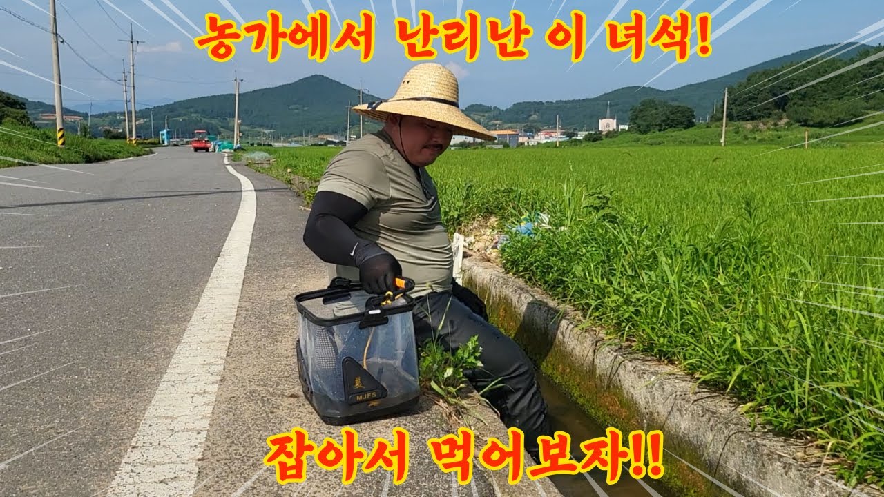 생태계 외래종 농가에서 난리났다!! 직접 잡아서 먹어보자!!