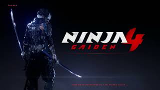 Is this crackhead gaming? NinjaGaiden4 P2