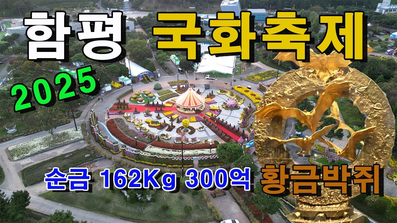 하늘에서 본 2025 함평 국화축제! 순금 162Kg 300억 짜리 황금박쥐