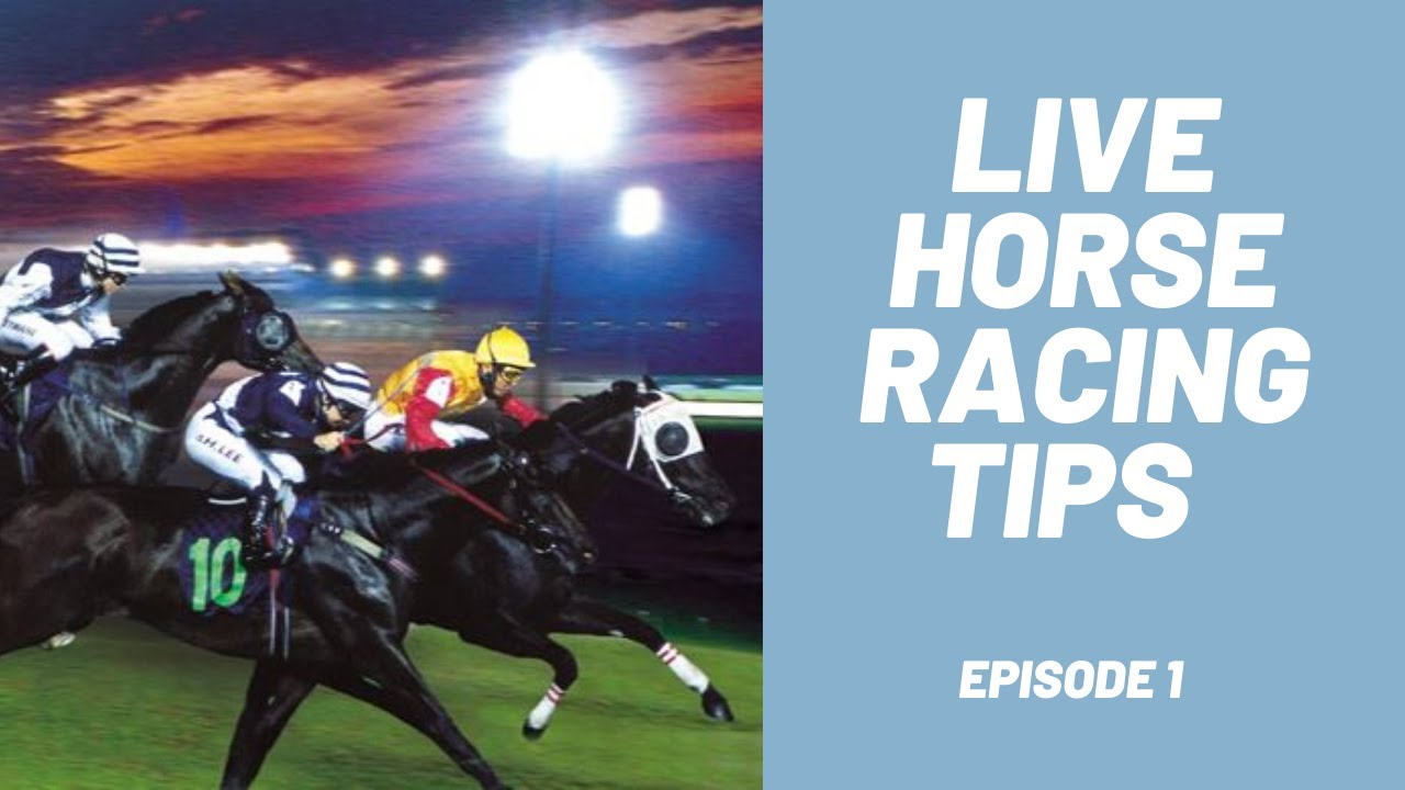 LIVE HORSE RACING TIPS | Picking the right horse to back | - YouTube