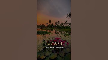 القرآن الكريم | فاطر السموات والأرض أنت وليي في الدنيا والآخرة |#سورة_يوسف #القارئ_بلال_دربالي