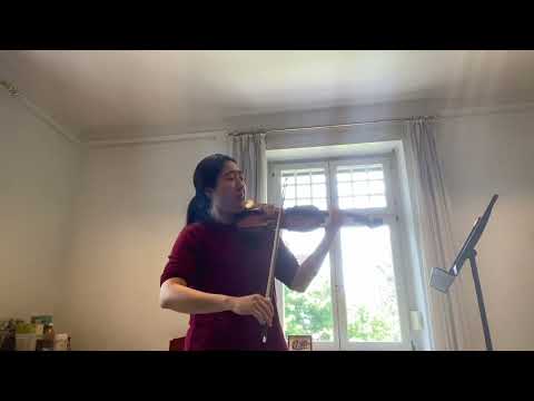 O.Nikolai - Die Lustigen Weiber von Windsor