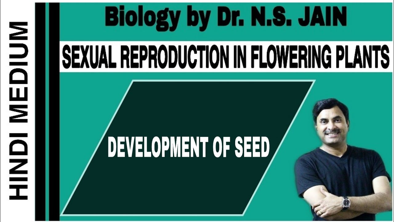 Development Of Seed Sexual Reproduction In Flowering Plants Hindi Medium Youtube