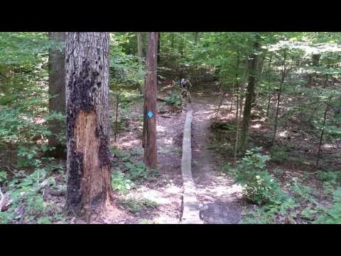 Log skinny Land Between the Lakes Canal Loop