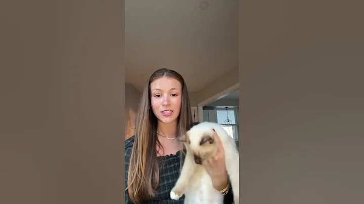 Video 6778441: ragdollkitten catlover, catlover kitty, kitty meets