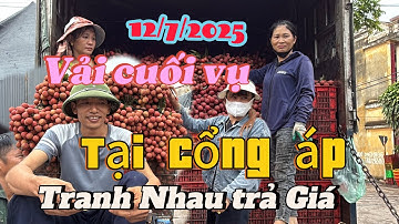 Cập Nhật Giá Vải,Những Quả Vải Cuối vụ Tại Cổng Áp Xã Lục Ngạn