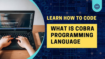 Introduction to COBRA Programming Language | Algo Logic Hub