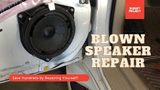 Lexus LX470 Mark Levinson Front Speaker Repair - Door Removal Instructions - Tips and Tricks
