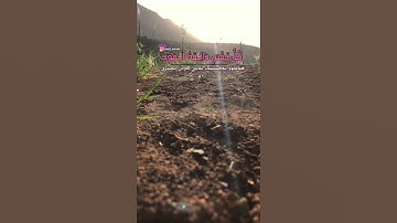 كُلُّ نَفْسٍ ذائِقَةُ الْمَوْتِ |سورة العنكبوت، آية 57،|#عبدالرحمن_مسعد #Amla_sorani☺️