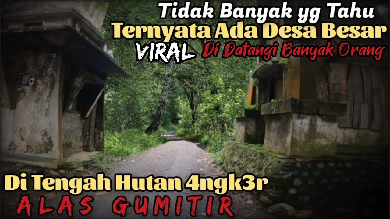 VIRAL di Datangi Banyak Orang.!! DESA TERPENCIL di tengah Alas Gumitir ini menjadi Jalur Alternatif 