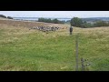 Utmaningen Avsnitt 1 