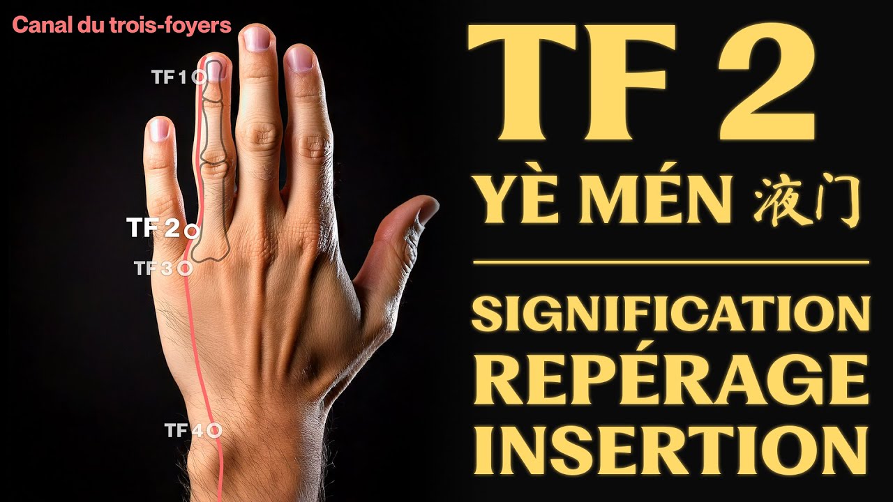 Point d'acupuncture : TF 2 (yè mén 液门) signification, repérage, insertion